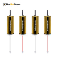 NewBeeDrone Drone Motors NewBeeDrone BDR GOLD Edition - 6mm Brushed Motor