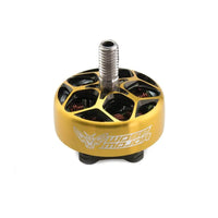 RCINPOWER MOTORS RCinPOWER Wasp Major 22.6-6.5 2206.5 1860Kv Motor - Gold